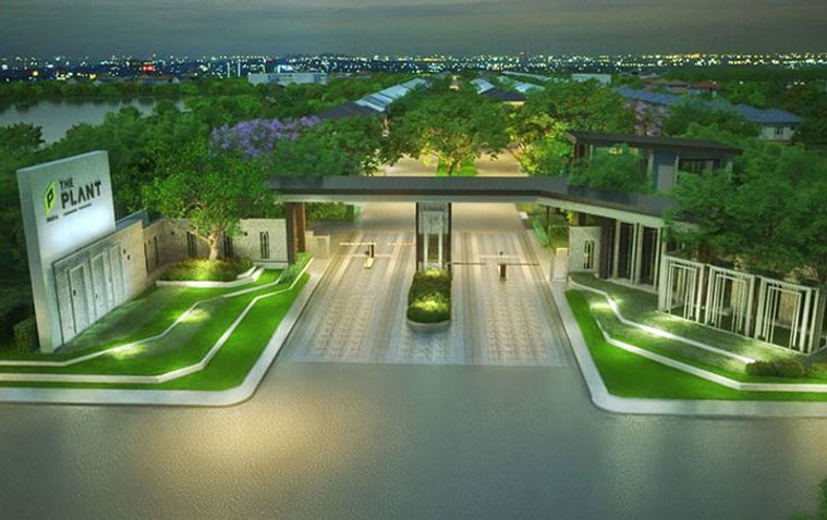 เดอะ แพลนท์ ชัยพฤกษ์ - วงแหวน