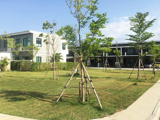 รูป Karnkanok Town 3 - รูปที่ 3/10