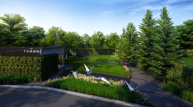 The Thamm 2 Onnut - Motorway