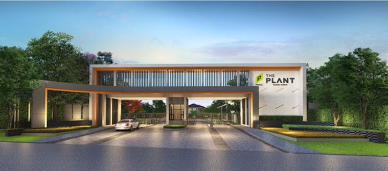 เดอะ แพลนท์ รังสิต - อเวนิว