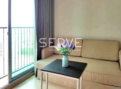 Condos for rent : 1 Bed High Fl. 15+ Good View & Good Location Next to MRT Thailand Cultural Centre 80 m. / For Rent