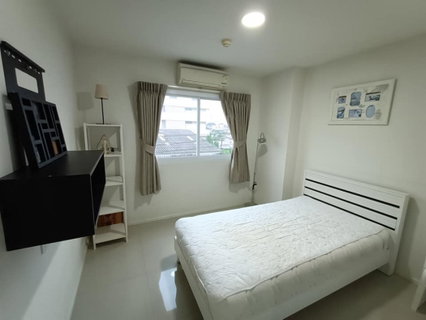 รูปภาพ Condo for rent Kensington Bearing 12 / Kensington Bearing 12 (Sukhumvit 107)