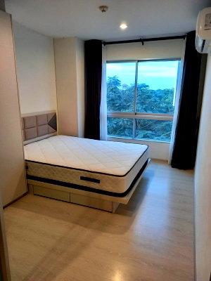 Condos for rent : The Kith Plus Paholyothin - Khukot