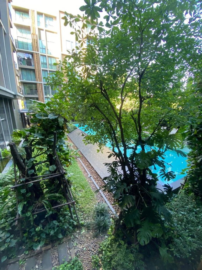 รูป ให้เช่า แชมเบอร์ส ชาน ลาดพร้าว - วังหิน เลขที่ 824/235 - รูปที่ 13/15