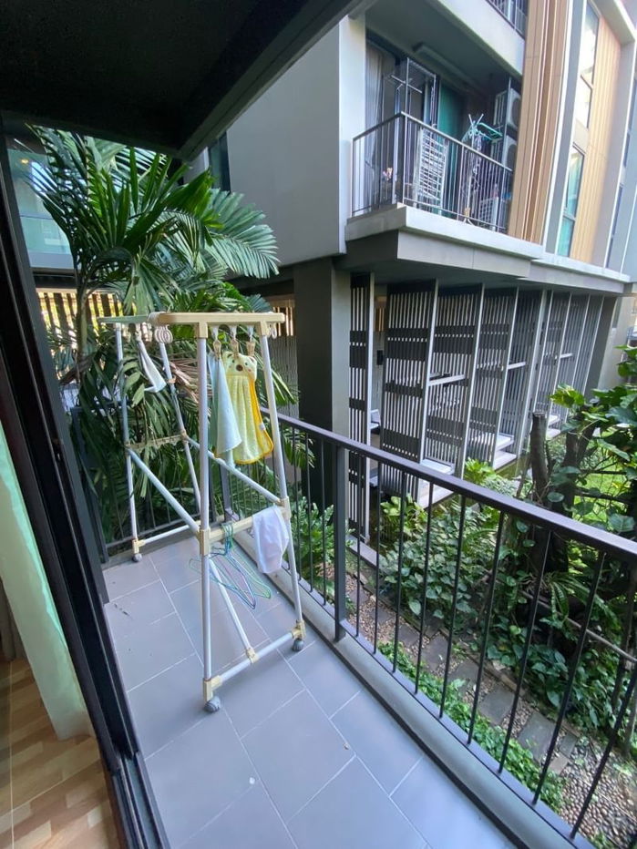 รูป ให้เช่า แชมเบอร์ส ชาน ลาดพร้าว - วังหิน เลขที่ 824/235 - รูปที่ 12/15