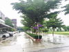 listing thumbnail image 22