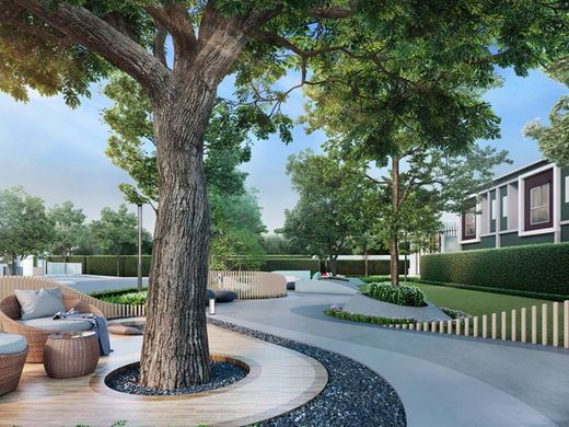 Project VENUE 24 Ratchaphruek Picture - 2/5