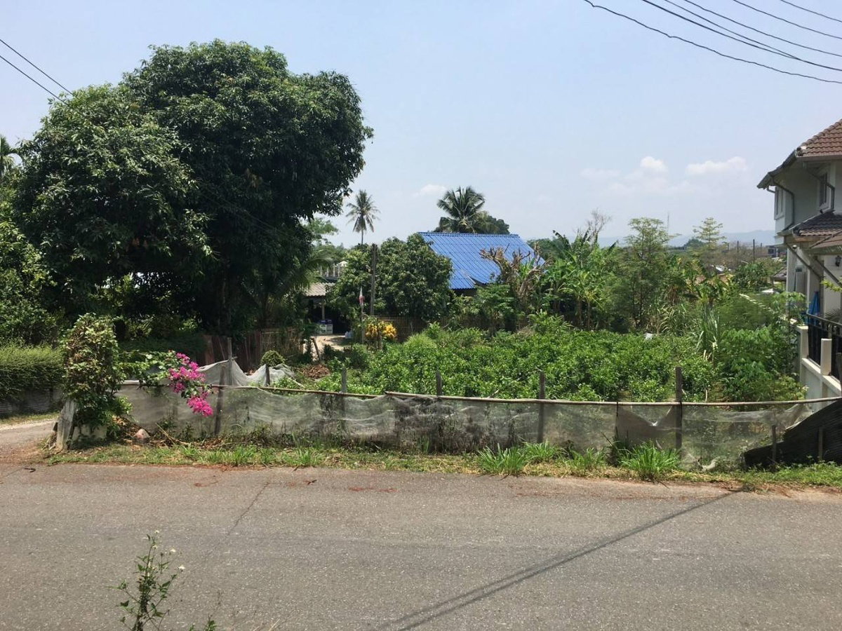 Ph0302 ขายที่ดิน มีสวนดอกมะลิ สามารถสร้างบ้านได้เลย ใกล้วัดบุปผาราม 123 ตรว. ขาย 1.49 ลบ. 