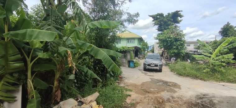 ขายที่ดิน 44 ตร.ว. เขตหนองแขม