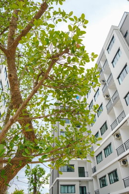 รูป  The Rich Condo   - รูปที่ 4/17