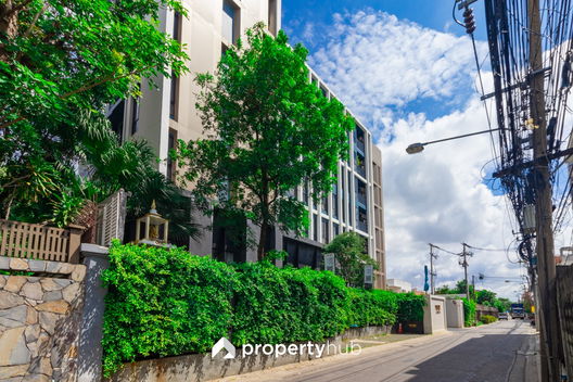 Project Very Lasalle Picture - 5/21