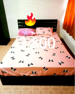 Condos for rent Chaeng Watthana Road : Room For Rent T10 Standard Room