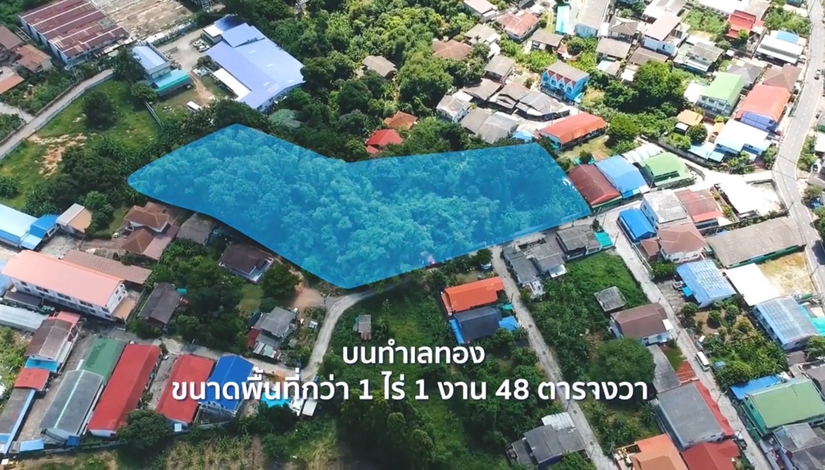 ขาย ที่ดิน ศรีราชา ราคาถูก ใกล้ รพ.สมเด็จ ศรีราชา เพียง 5 นาที 