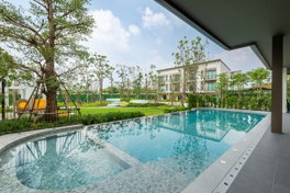 Project FLORA Ratchaphruek - Suan Phak Picture - 5/22