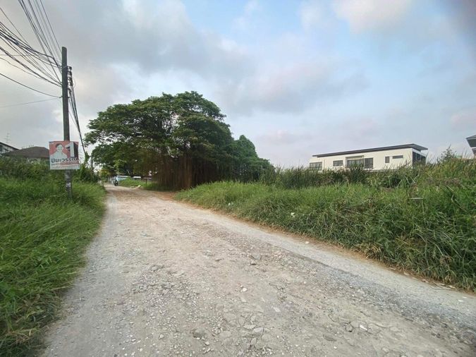 Land for sale, 1600 sq wah, Suan Luang