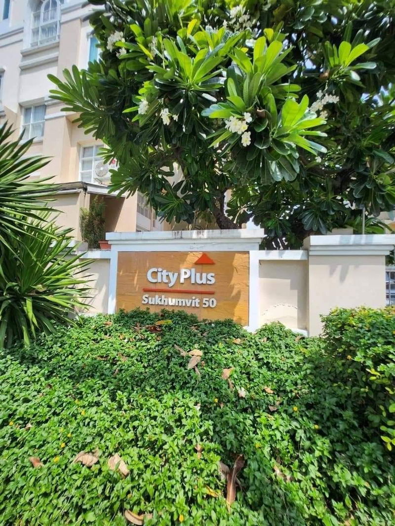 ทาวน์โฮมให้เช่า : 🌈🔥🦮🐕‍🦺Pet friendly Towhome City Plus Sukhumvit 50 3.5 storey   3 BR  4 BH 250 sqm.  for  Rental 🌈🔥