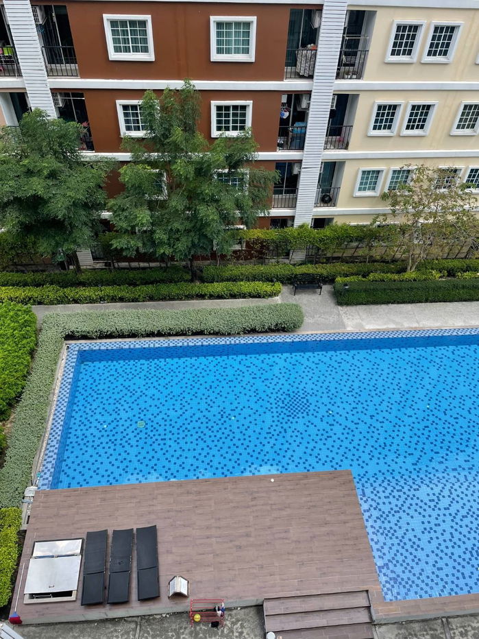 รูป Tulip @aumnoi ทิวลิป อ้อมน้อย ให้เช่า พร้อมเข้าอยู่ได้เลย - รูปที่ 10/10