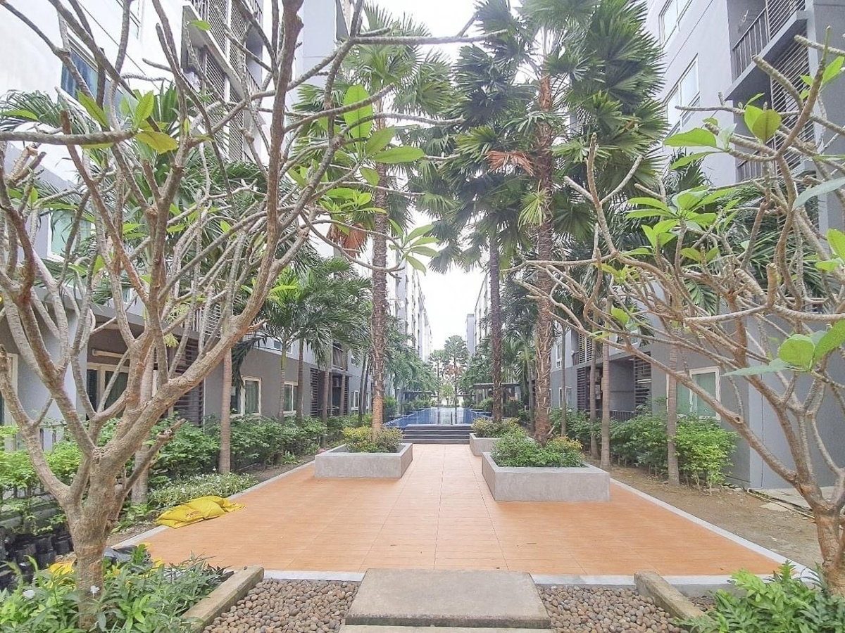 รูป For sale Condo The Trust central pattaya 1.45 m only (S03-1721) - รูปที่ 3/13