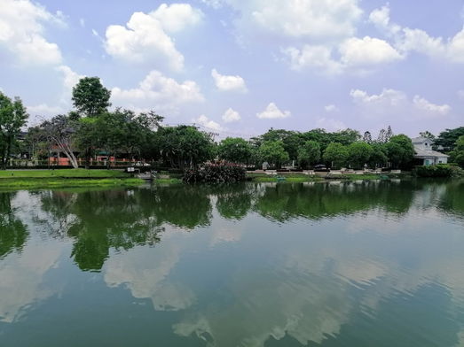 Project Perfect Place Sukhumvit 77 - Suvarnabhumi Picture - 5/11