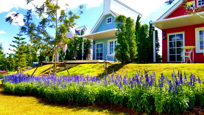 กิจการให้เช่า : ให้เช่ารีสอร์ท บ้านพัก บนเขาค้อ ระยะยาว