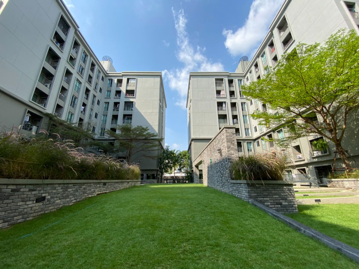 picture For rent Chapter One The Campus Kaset - 14/15