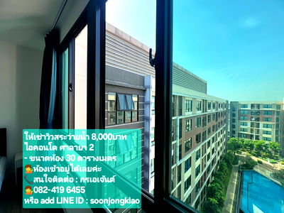 Condos for rent Mahidol University Salaya : RENT​ ICONDO​ SALAYA​ 2 🏢 1BED,1BATH,SIZE​ 30 💁 RATE​ 8,000B 🪻Ready​  to​ move🧳in.Call 082-4196455​