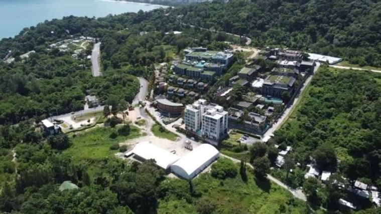 เดอะ วีว่า ป่าตอง