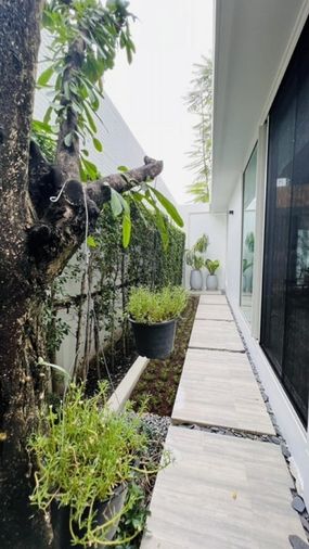 ขายบ้านเดี่ยว 4 ห้องนอน 371 ตร.ม. 73 ตร.ว. วีเว่ เอกมัย - รามอินทรา
