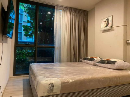 รูปภาพ CG_LP07 Chambers chaan, room available for rent, Line: @cgestate