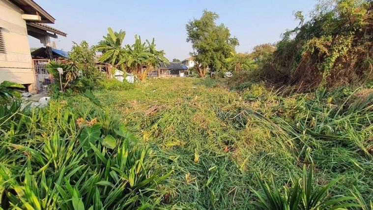 Land for sale, 101 sq wah, Khlong Sam Wa