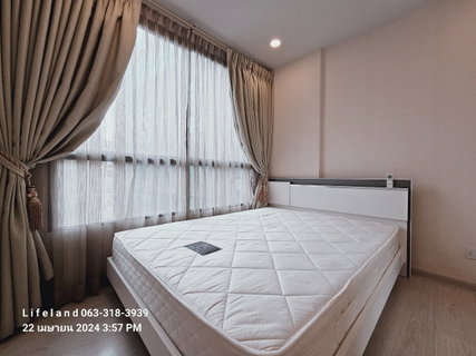 รูปภาพ For rent The Tree Sukhumvit 64 [34Sq.m., Floor 5] Ready to move in [Line: @lifeland]