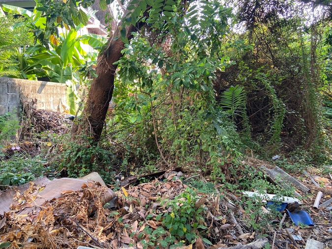 Land for sale, 94 sq wah, Bang Na