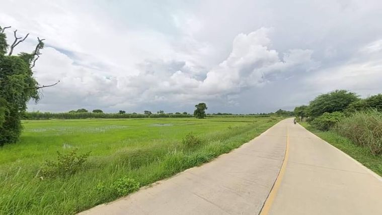 ขายที่ดิน พนัสนิคม หนองเหียง ใกล้ถนน 331 ชลบุรี