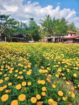 รูป ที่ดิน พร้อม รีสอร์ต แม่ริม เชียงใหม่ บรรยากาศธรรมชาติ ติดภูเขา พื้นที่ 8-1-18.40 ไร่, เชียงใหม่ - รูปที่ 1/8