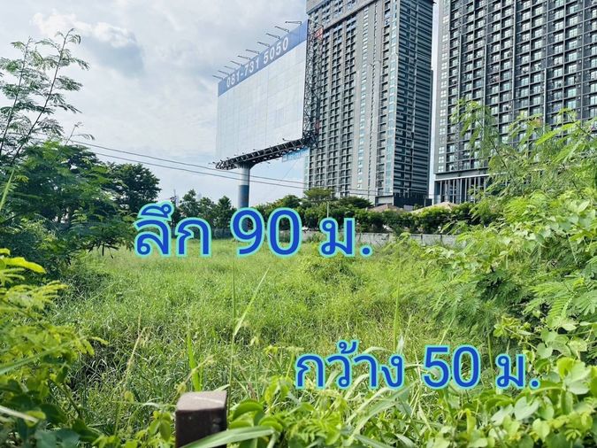Land for sale, 1005 sq wah, Bang Na