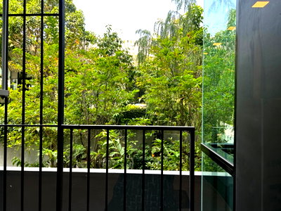 คอนโดให้เช่า : ให้เช่าคอนโด Kave Ava ตึก A ชั้น 2 วิวสวน