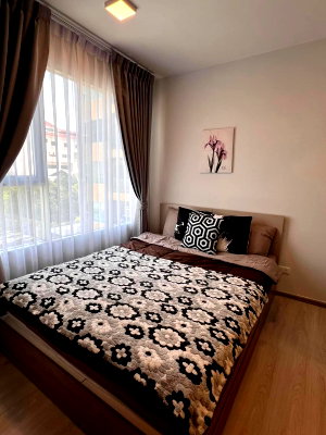 คอนโดให้เช่า : [ให้เช่า] คอนโด พลัม คอนโด สุขุมวิท 62 (Plum Condo Sukhumvit 62)