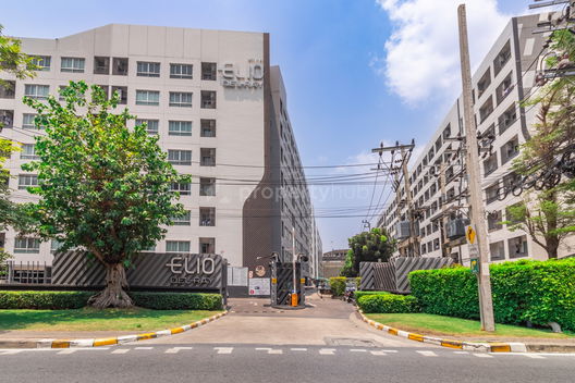 รูป Elio Del Ray - รูปที่ 2/10