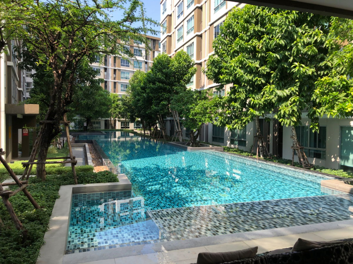 รูป ให้เช่า Dcondo แคมปัส รีสอร์ท รังสิต 2 ตรงข้าม ม.ธรรมศาตร์ ขนาด 30 ตร.ม. พร้อมอยู่ได้เลย - รูปที่ 12/21