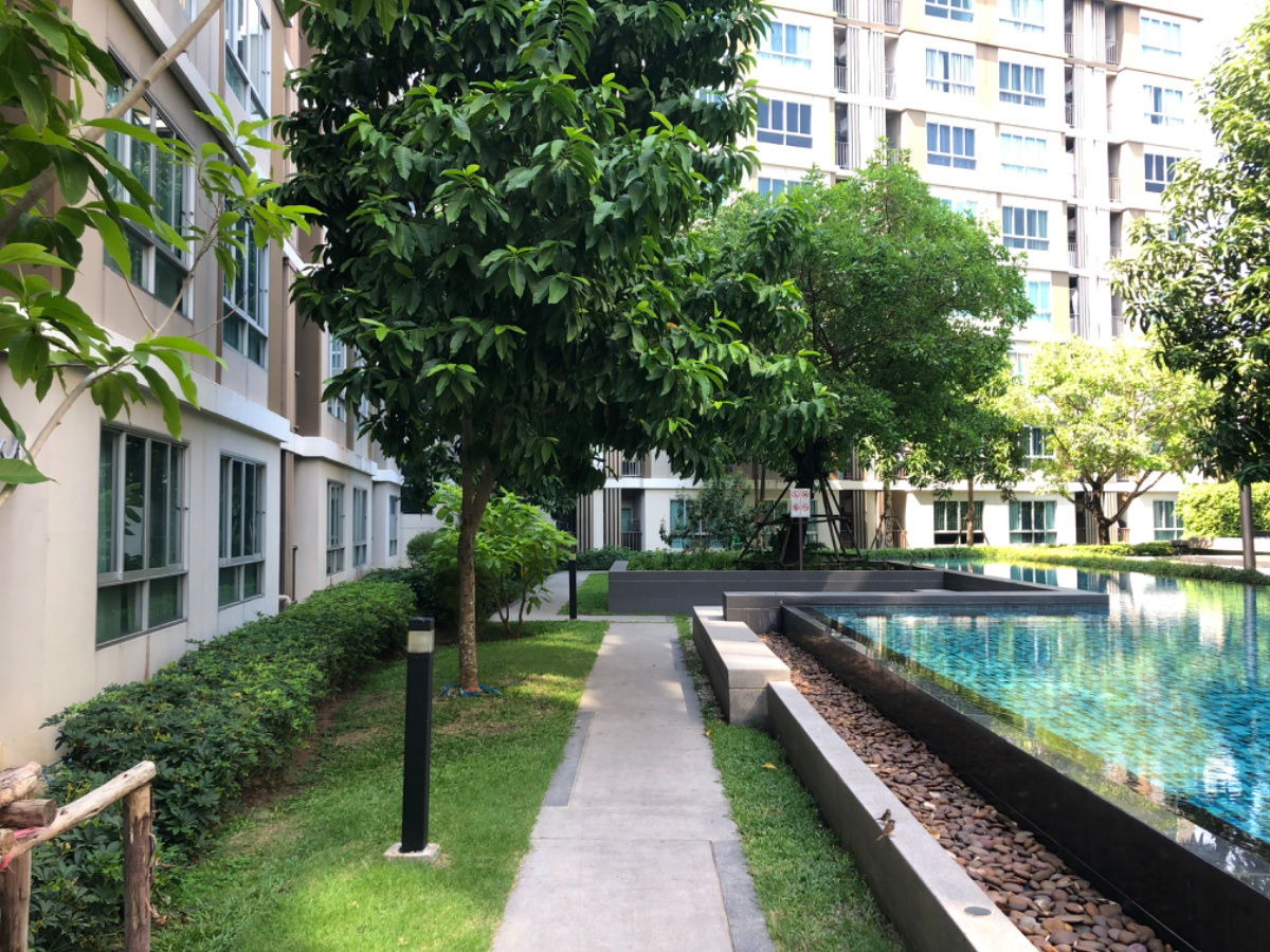รูป ให้เช่า Dcondo แคมปัส รีสอร์ท รังสิต 2 ตรงข้าม ม.ธรรมศาตร์ ขนาด 30 ตร.ม. พร้อมอยู่ได้เลย - รูปที่ 14/21