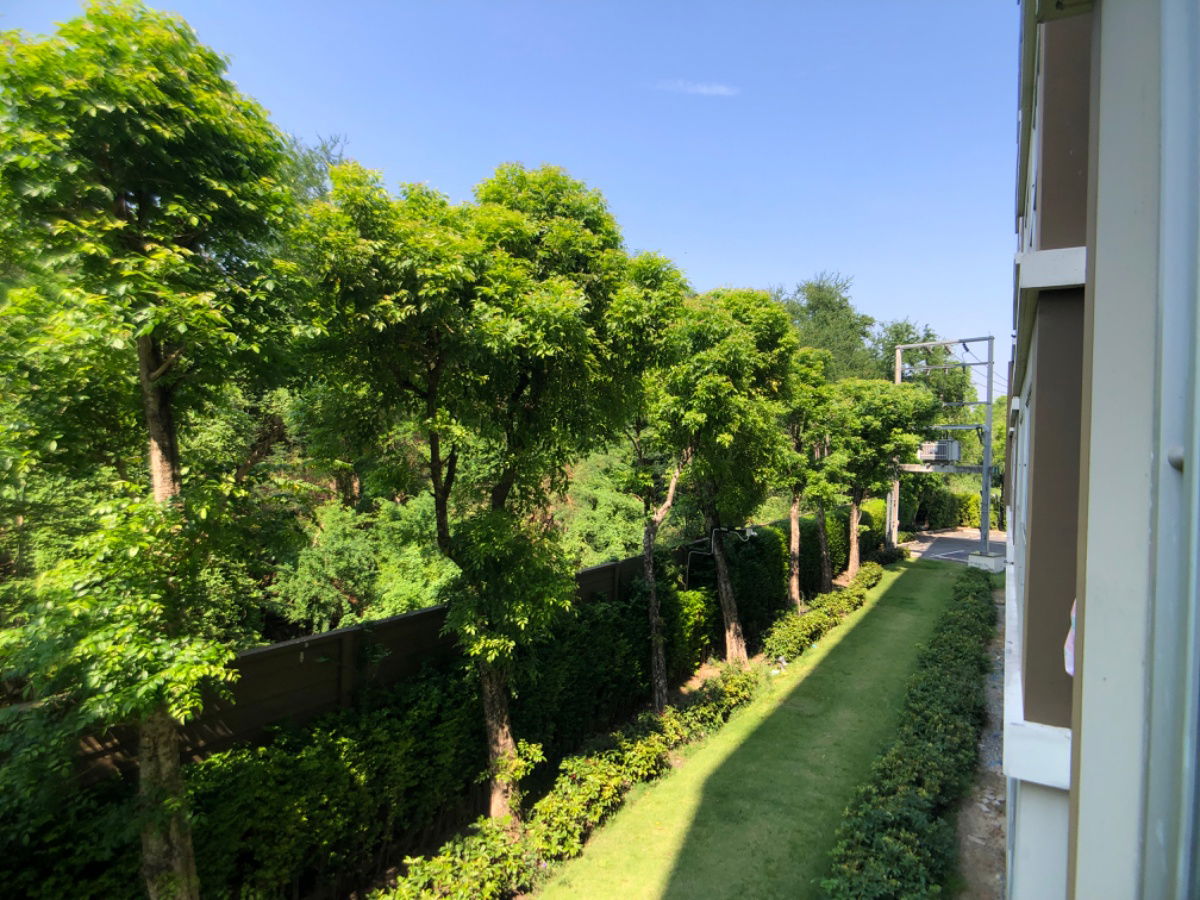 รูป ให้เช่า Dcondo แคมปัส รีสอร์ท รังสิต 2 ตรงข้าม ม.ธรรมศาตร์ ขนาด 30 ตร.ม. พร้อมอยู่ได้เลย - รูปที่ 19/21