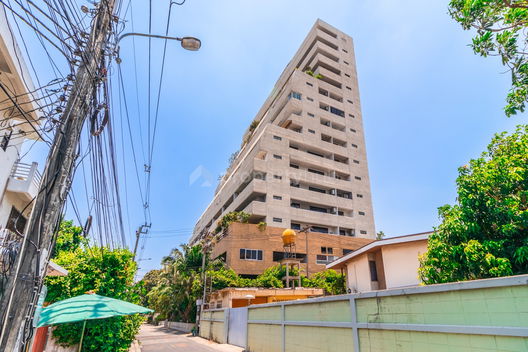 Project The Roof Garden On Nut Picture - 3/11