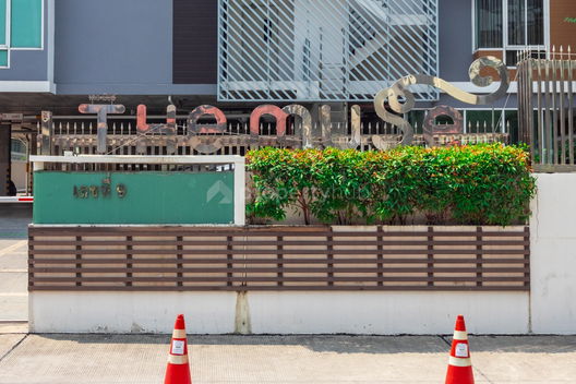 Project The Muse Picture - 3/6