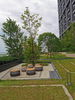 listing thumbnail image 10