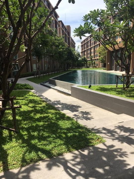 ให้เช่าดีคอนโด รังสิต ราคา8500/เดือน full furnished ติดต่อ โหน่ง 0818013353