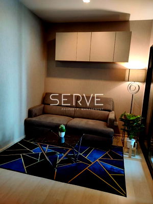 คอนโดให้เช่า :  1 นอน ห้องสวย 30 ตร.ม.ชั้นสูง 10+ ทำเลดี เดินทางสะดวกใกล้ BTS พระโขนง 600 ม. ที่คอนโด Life Sukhumvit 48 / ให้เช่าคอนโด