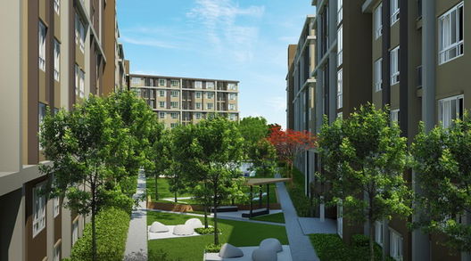 Project dcondo Campus Resort Rangsit Picture - 2/20