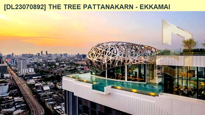 Condos for rent : DL23070892 Condo for rent, The Tree Pattanakarn - Ekkamai near สายสีส้ม, ready to move in, call urgently 0656133286 LineID @534wlwof