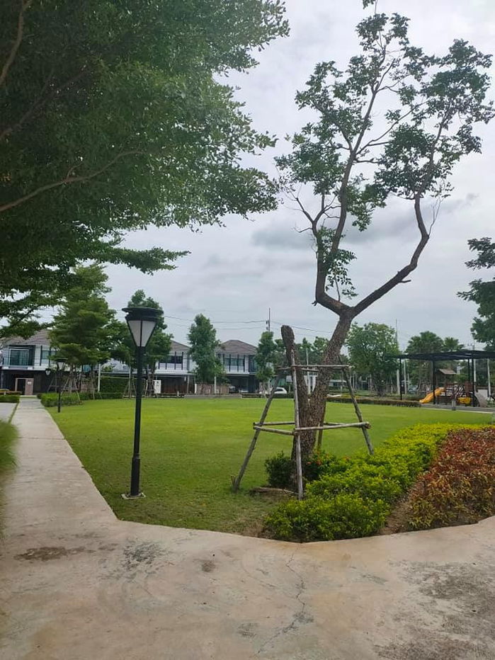 รูป เดอะ แพลนท์ และเนเชอร่า เทรนด์ วงแหวน-ลำลูกกา คลอง 5 - รูปที่ 4/26