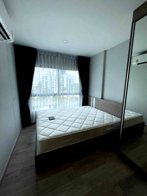 คอนโดให้เช่า : #A091 For rent Plum Sukhumvit 97/1